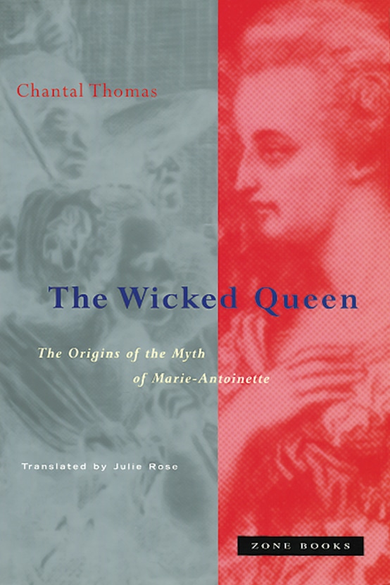 The Panorama　History of a Mass Medium The Panorama – History of a Mass Medium (Zone Books): Amazon